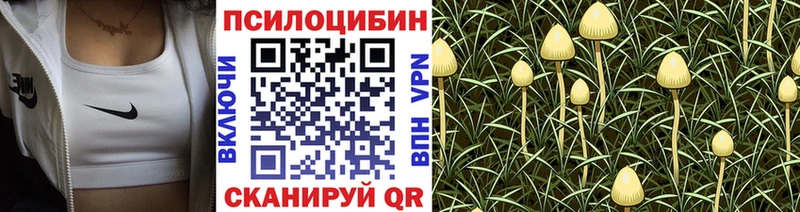 Галлюциногенные грибы мицелий как найти Заозёрный